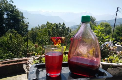 family_travel_blog_pithoragarh_uttarakhand