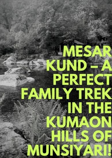 family_travel_blog_मेसर_कुंड_meesar_kund_kumaon_himalayas