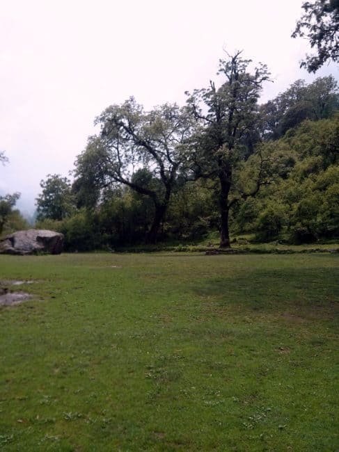 family_travel_blog_मेसर_कुंड_meesar_kund_kumaon_himalayas