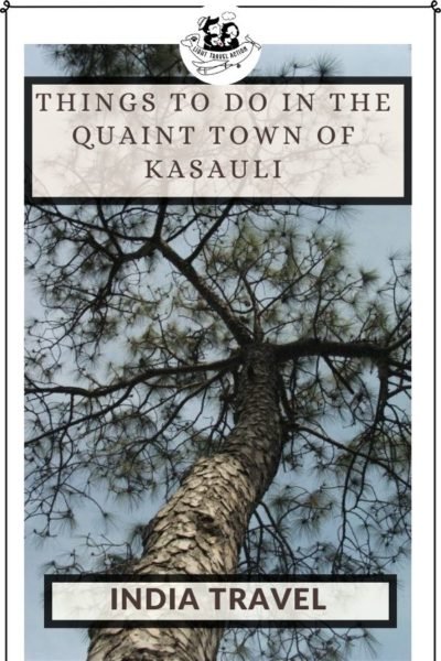 Kasauli is an awesome weekend getaway from Delhi. It is a peaceful and green cantonment town of Himachal. For a well-deserved break after working hard for the whole week, head towards Kasauli. Named after the flower ‘Kasool’, Kasauli receives a huge number of tourists especially from the nearby states. Visit it for hiking, street markets, Christ Church, Mankey Point, natural beauty or just for spending some quality time with yourself or family. #lighttravelaction #kasaulihills #kasaulihimachalpradesh #thingstodoinkasauli