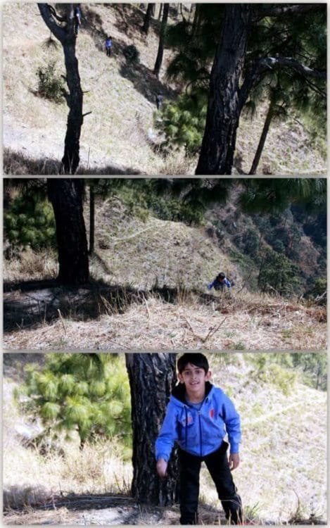 We decided to give the touristy Mon-key point a miss and instead walked up the pine-fringed Gilbert trail. The weather was marvelous which made the walk on this walkway amidst lofty hills very soulful. Kids enjoyed climbing up and down the hill hunting for pine cones #lighttravelaction #kasauli #himachalpradeshtravel