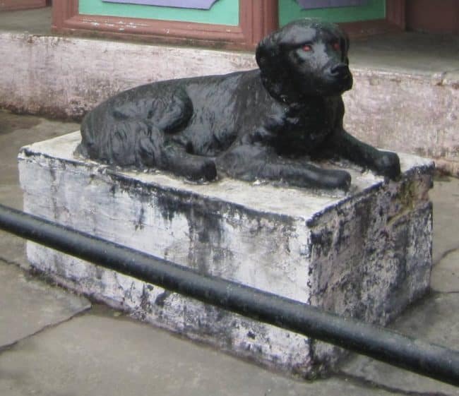 You can't miss the statue of a black cocker spaniel or is it a retriever (?) outside the “English Wine Shop”. None of the locals knew the origin of the dog statue and thanks to “google” I came across a minutia about this dog. Turns out this dog had enjoyed a hero status after nabbing the robbers who tried to steal booty belonging to Kali Charan and Sons, who owned a fancy store which stocked imported goods, Scotch whiskeys and French wines.#lighttravelaction #kasauli #himachalpradeshtravel