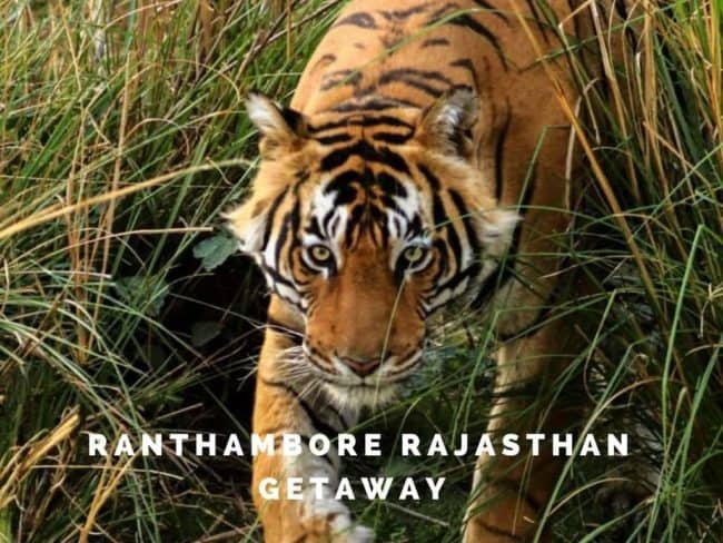 family_travel_blog_10_awesome_places_rajasthan