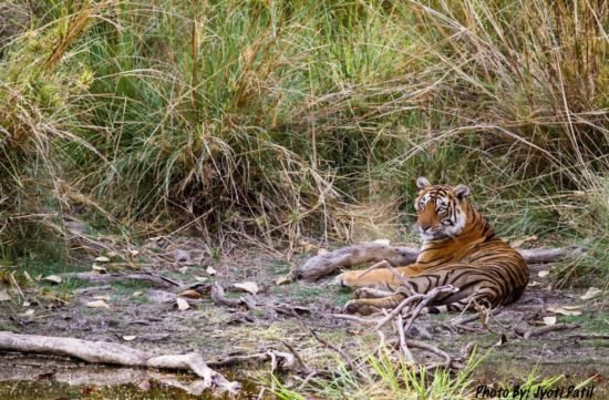 family_travel_blog_10_awesome_places_rajasthan