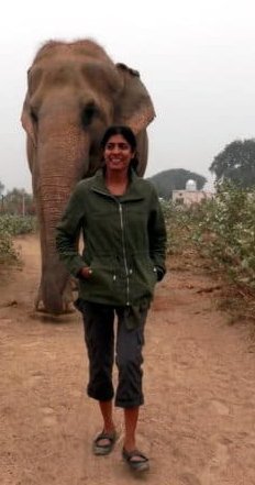 Maya Elephant from Elephant Conservation and Care Center