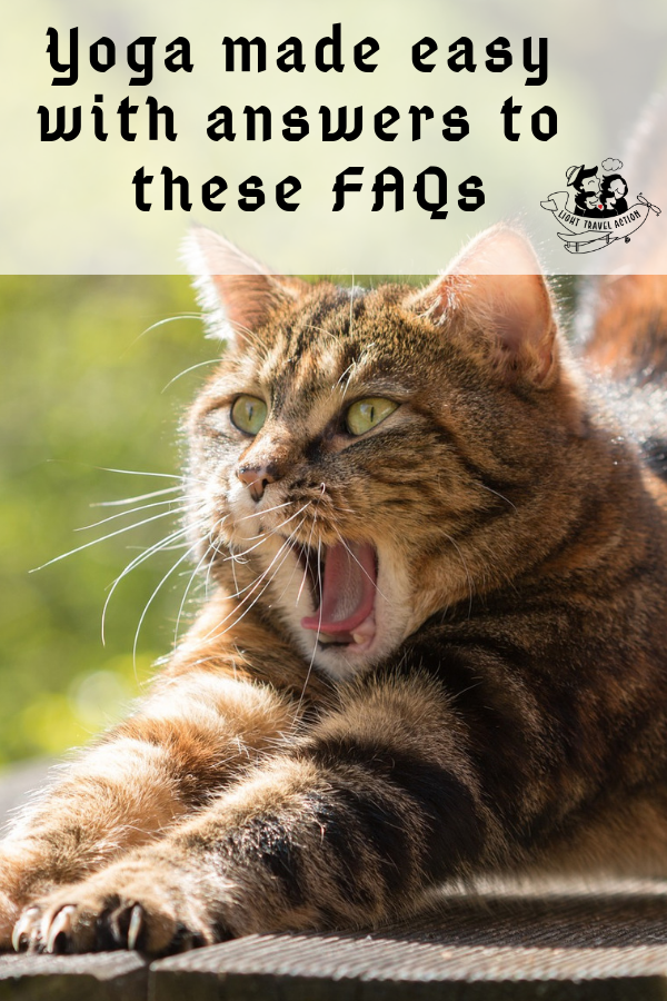 Coming from the Spiritual city of Varanasi in India and having completed 500 hours teacher’s training course from Yoga Alliance International I find immense pleasure spreading happiness and positivity through Yoga.In this post I would be answering the basic questions people have regarding yoga but don’t know whom to ask #yoga #yogaposes #yogaforbeginners #yogaindia #yogainspiration #yogaprincipiantes #yogafitness #yogaposesforbeginners