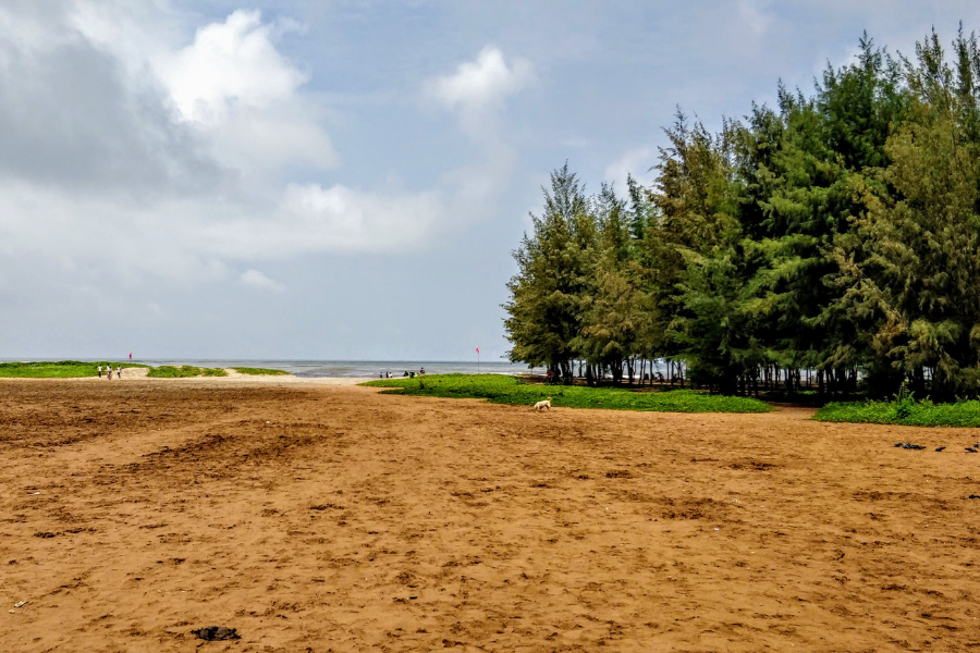 Tranquil Miramar Beach in Panaji showing golden sand, gentle waves of the Arabian Sea, palm trees, and a peaceful sunset atmosphere