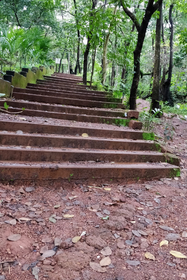Entrance steps and bridge leading to the ticket counter at Tropical Spice Plantation with rustic wooden railings and tropical vegetation