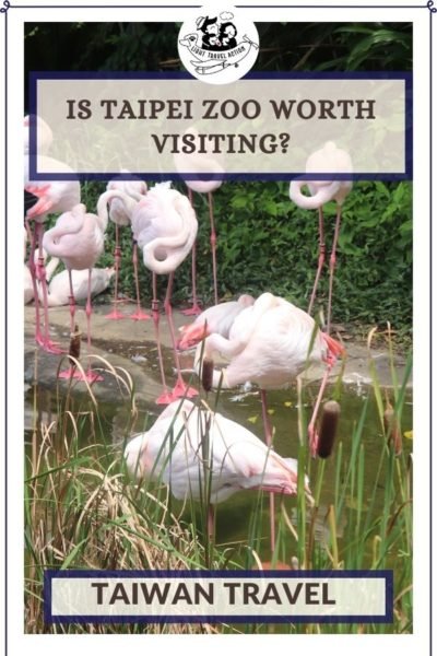 Taipei Zoo Pinterest pin collage showing penguin exhibit and Pangolin Dome tropical rainforest with text overlay Everything You Need to Know ticket prices hours animals