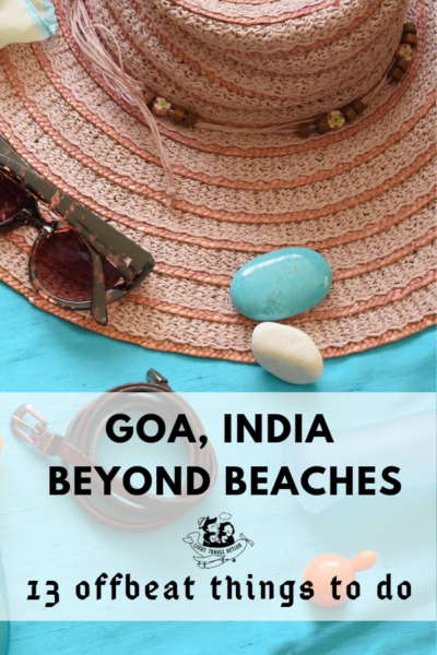 Scenic view of coastal Goa with lush greenery, showcasing the state's rugged and hilly terrain along with rice fields, coconut groves, and orchards that characterize this beach paradise in India
