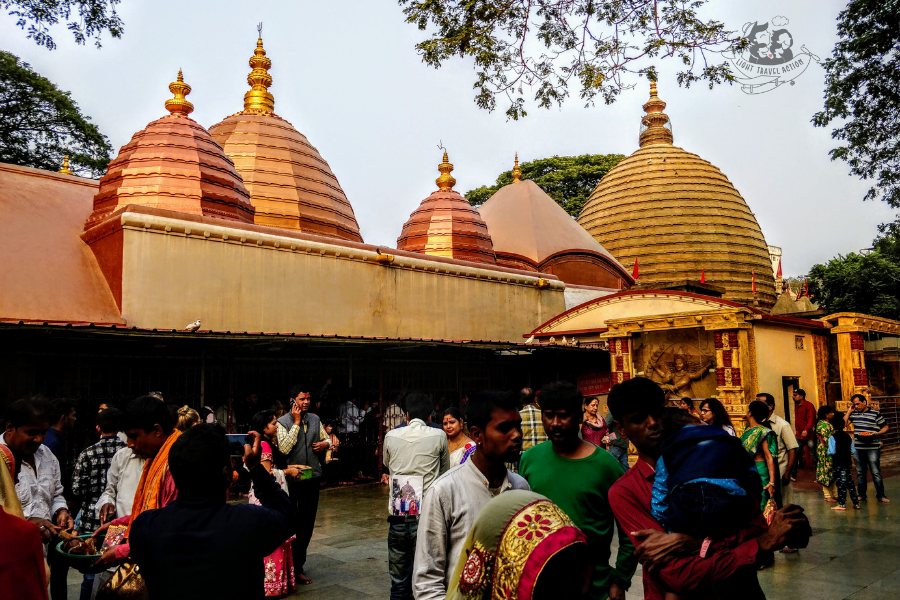 Offbeat Travel on mind? Want to Travel to Guwahati, India but don't know where to go, what to see, How to book? Don't Worry! I will help you Plan your Perfect Guwahati & Pobitora Trip Today! Pobitora is known for 'One Horned Rhinoceros'. Also visit Maa Kamakhya Temple & Umananda Island Temple. My team will help you plan a customized trip to Guwahati & Pobitora, India. To get a FREE ITINERARY click on the link. For Bookings, Email richa@lighttravelaction.com #guwahati #rhino #KamakhyaTemple