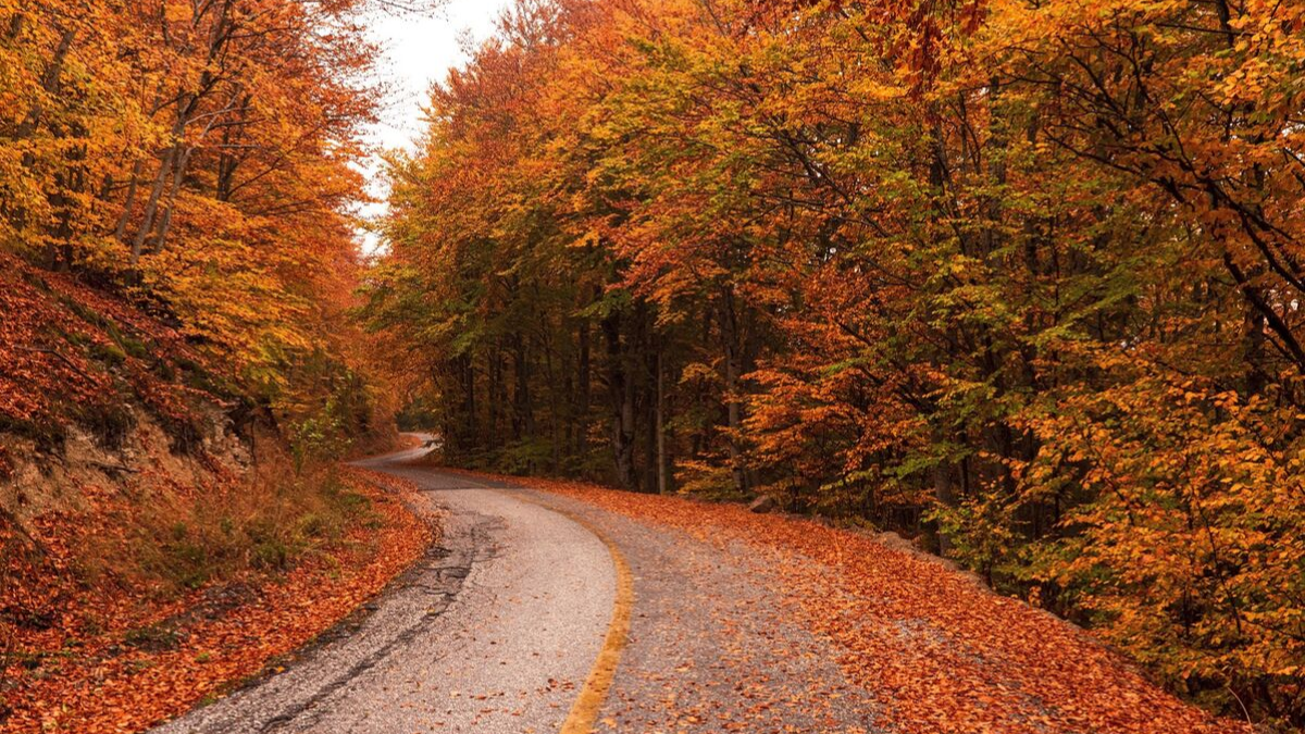 The weather in India is relatively hot all year round.Picking up the right fabric is the first thing to keep in mind.You won’t necessarily have to pick all conservative layers.Researching about the place well will help build your travel capsule.Most metro cities and tourist destinations have a casual dress code.It’s only the holy places where you need to cover yourself up completely #lighttravelaction #indiatraveloutfitwhattowear #incredibleindia #indiatraveloutfit #indiatravelpackinglists