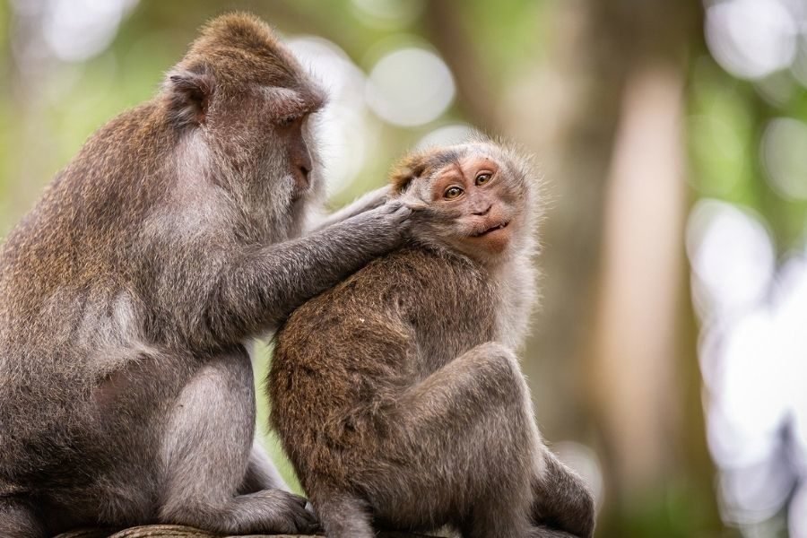 lighttravelaction-delhi-zoo