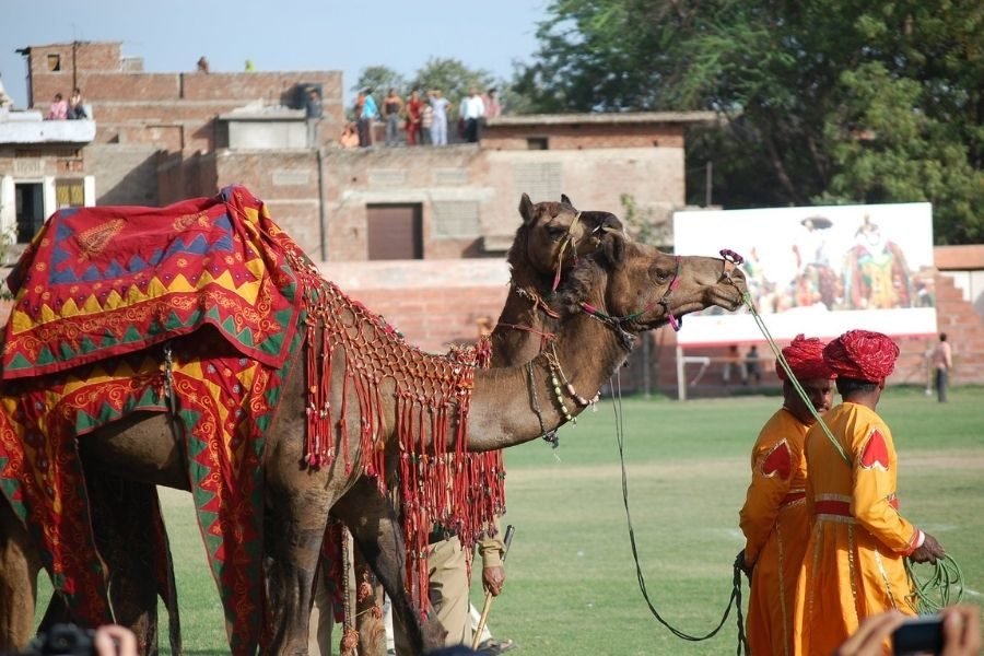ATTACHMENT DETAILS lighttravelaction-rajasthan-fairsandfestivals