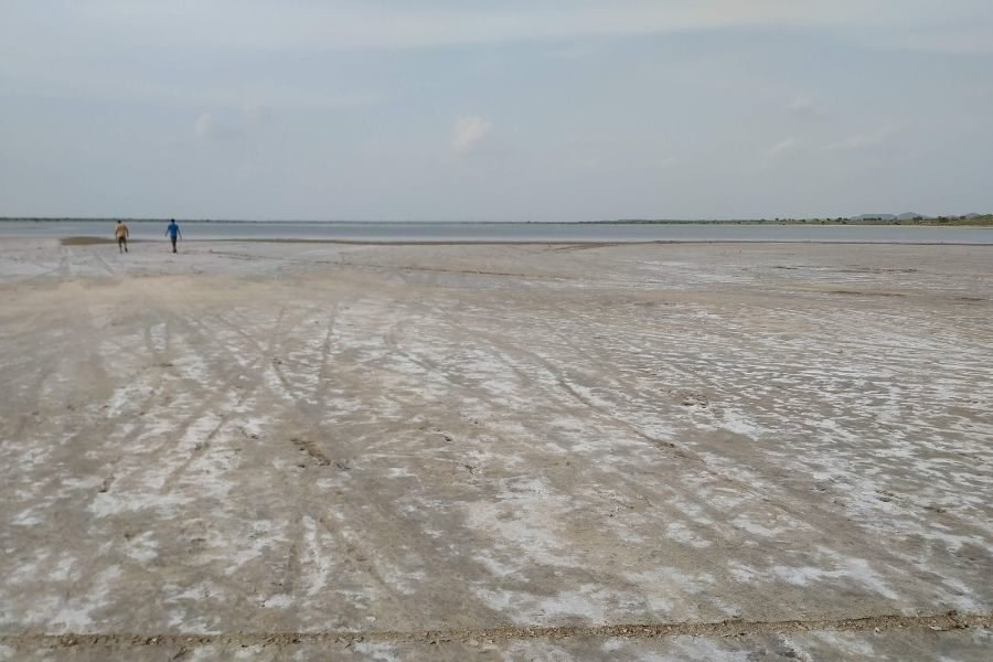 lighttravelaction-rajasthan-barmer