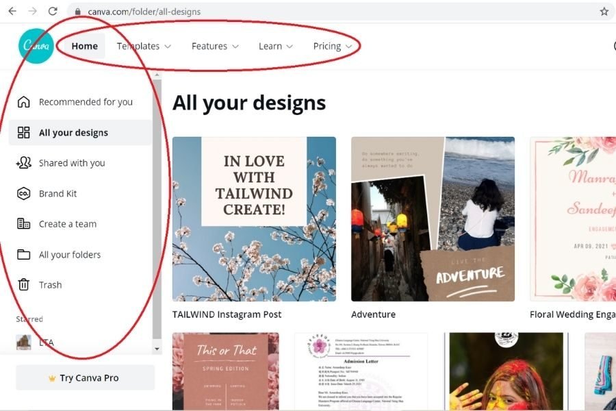 lighttravelaction-canva