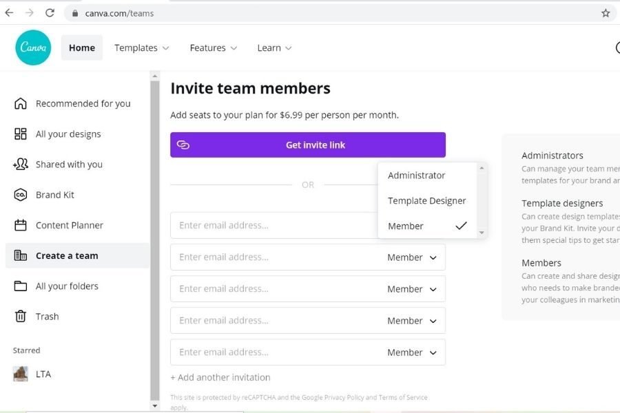 lighttravelaction-canva-pro
