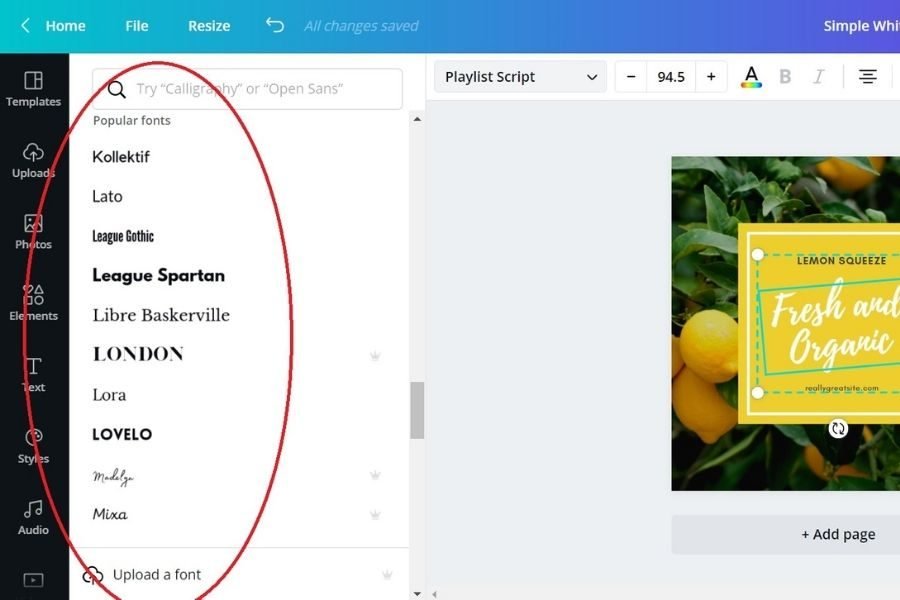 lighttravelaction-canva-pro