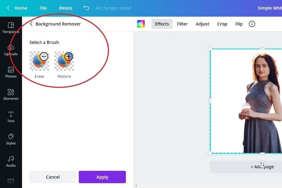 lighttravelaction-canva-pro