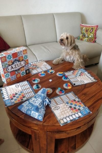 lighttravelaction-board-games