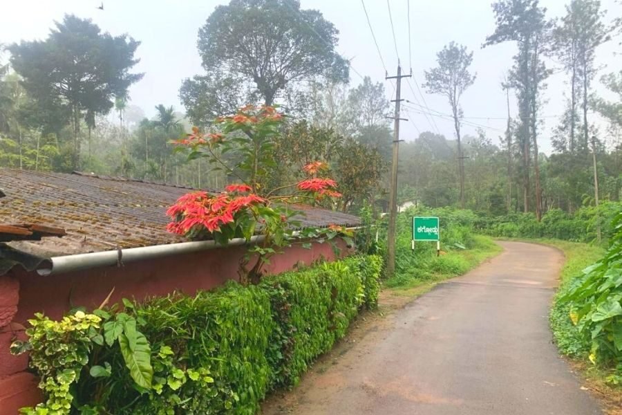 lighttravelaction-coorg