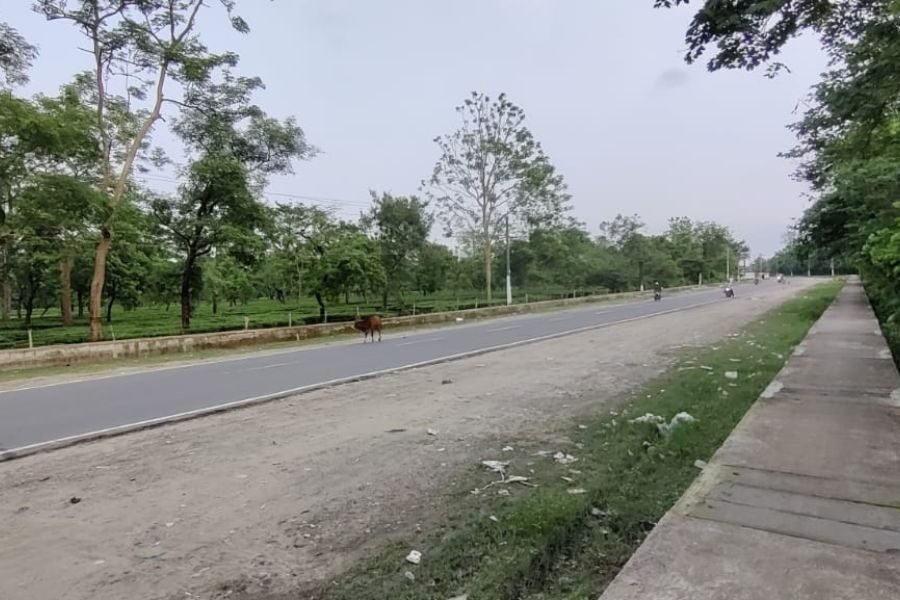 lighttravelaction-dibrugarh