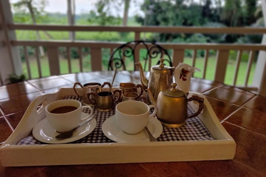 lighttravelaction-dibrugarh-tea-estate
